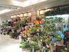 FLOWER GARDENS  �r�ܓX�̃A���o�C�g