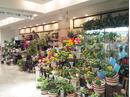 FLOWER GARDENS  �r�ܓX�̃A���o�C�g