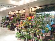 FLOWER GARDENS 池袋店のパート求人