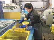 西国水産株式会社のアルバイト写真2
