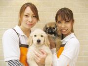 ペッツファースト 筑紫野店のパート求人