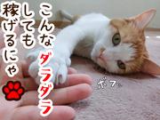 日本マニュファクチャリングサービス株式会社a/fuku170501のアルバイト写真2