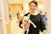 カスタマーサポートでのメール対応(ココネ株式会社)のアルバイト写真1