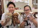 ペットのコジマ 中野店のアルバイト