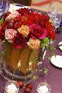 �ɐ��O�V�h�X�A���o�C�g�ʐ^