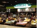 わくわく広場 イオンモール福岡伊都店のアルバイト