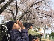 さざなみ城東のアルバイト写真2