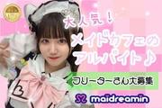 めいどりーみん 秋葉原ひみつきち(ホール(フリーター))のアルバイト写真(メイン)