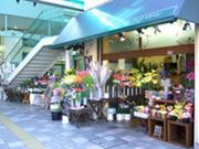 Flower Shop KEIO 八幡山店のパート求人