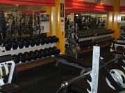 �S�[���h�W������Q�n�X�A���o�C�g�ʐ^