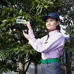 【水戸市】ダスキントータルグリーンスタッフ募集のフリーアピール、みんなの声