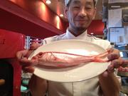 ビストロガブリ 五反田店のパート求人