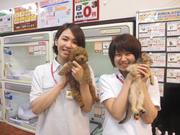 ペットのコジマ 阿佐ヶ谷店のパート求人