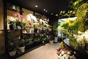 Flower Shop KEIO せいせき店の小写真