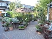 インナチュラル 辻堂湘南店