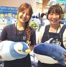 Passport イオン柏店  540のパート求人