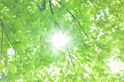 山形南カントリークラブのアルバイト写真(メイン)