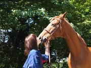 乗馬クラブクレイン栃木のアルバイト写真1
