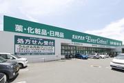 エバグリーン薬局 岩出高塚店のアルバイト写真(メイン)