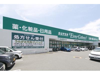 エバグリーン薬局 岩出高塚店の大写真