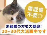 株式会社新昭和(w2107-8-3)のフリーアピール、みんなの声