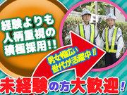 株式会社エムサス 東京支店 (亀有エリア)のアルバイト写真1