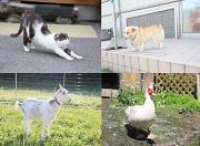 グループホーム風鈴花のアルバイト小写真1