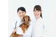 本間獣医科医院カインズ名古屋みなと病院のアルバイト写真(メイン)