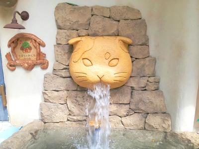 Cat Cafe てまりのおしろのアルバイト バイト求人情報 マッハバイトでアルバイト探し Cat Cafe てまりのおしろのアルバイト バイト求人情報 マッハバイトでアルバイト探し