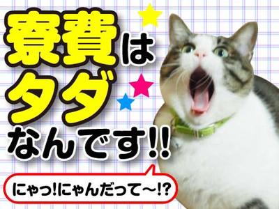 茨城県水戸市の人と関わらない仕事の求人情報