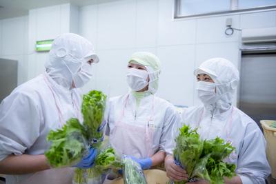 埼玉県さいたま市桜区中島 学校給食 調理師 チーフ 社員 のバイト求人情報 X シフトワークス