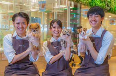 ペットプラス りんくう泉南店 フリーター 業界未経験 のバイト求人情報 X シフトワークス