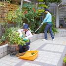 【生駒市】トータルグリーン（庭木の管理スタッフ）のアルバイト写真(メイン)
