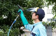 【生駒市】トータルグリーン（庭木の管理スタッフ）のアルバイト写真3