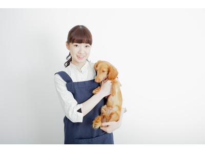 ダンデライオン 中山店のアルバイト バイト求人情報 マッハバイトでアルバイト探し