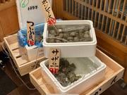 【未経験OK】頼りになる先輩がしっかりフォロー