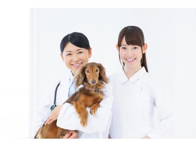 本間獣医科医院カインズ東大阪病院のアルバイト バイト求人情報 マッハバイトでアルバイト探し