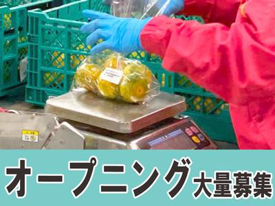 ディズニーリゾートライン 千葉県 の求人情報 40代 50代 60代 中高年 シニア のお仕事探し バイト パート 転職 求人ならはた楽求人ナビ