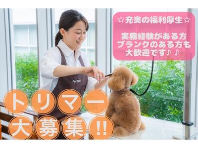 ペットプラストリミングサロン スーパービバホーム名古屋南店のアルバイト バイト求人情報 マッハバイトでアルバイト探し