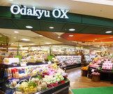 Odakyu OX 代々木上原店 (アルバイト)チェッカー(レジ)のアルバイト写真2