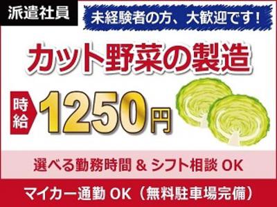 【日払い可】【カット野菜の製造】選べる勤務時間&シフト相談OK!...