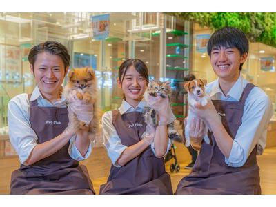 ペットプラス ららぽーと富士見店 フリーター 業界未経験 のアルバイト バイト求人情報 マッハバイトでアルバイト探し