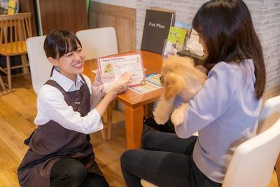 ペットプラス 座間店 フリーター 業界経験者 のバイト求人情報 X シフトワークス