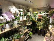 Flower Shop Keio 新宿地下店のアルバイト バイト求人情報 マッハバイトでアルバイト探し