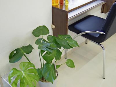 明るい店内はきれい髪と笑顔があふれています