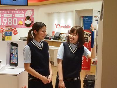 ワイモバイル セブンパークアリオ柏のアルバイト バイト求人情報 マッハバイトでアルバイト探し