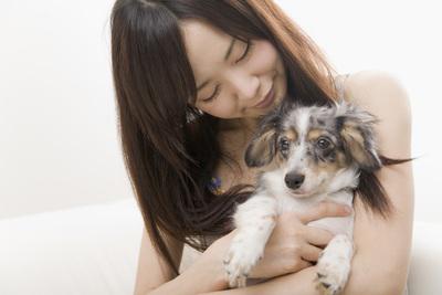 いぬの保育園 ドリームワン ドッグトレーナー のバイト求人情報 X シフトワークス